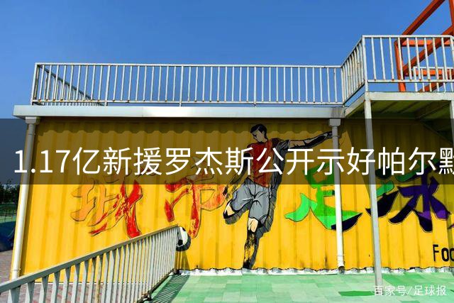 1.17亿新援罗杰斯公开示好帕尔默 切尔西战术拼图如何重组？